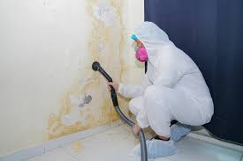 Mold Removal for HVAC Installations in Sand Springs, OK